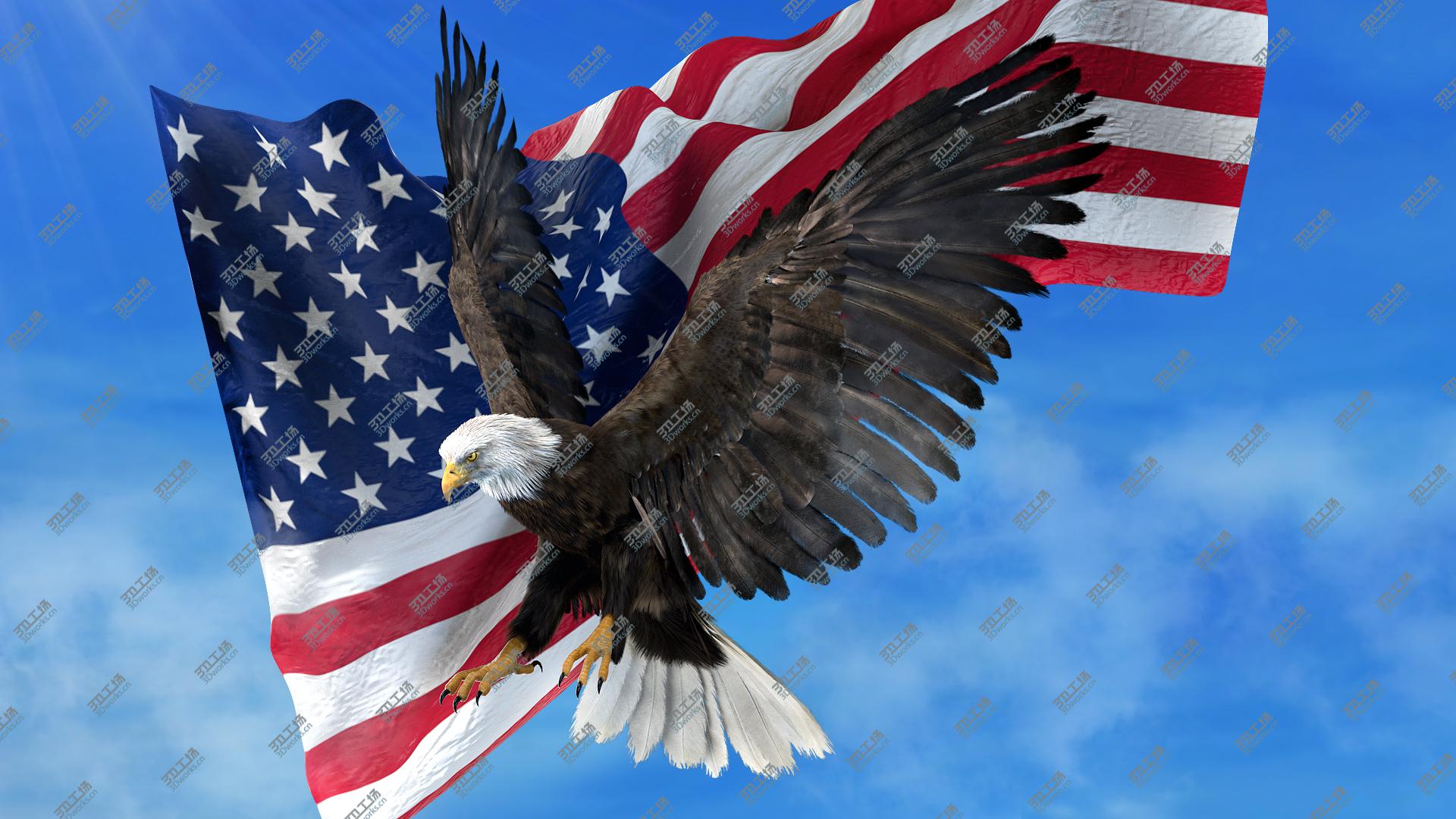 images/goods_img/202104092/3D American Eagle Fur Anatomy model/3.jpg